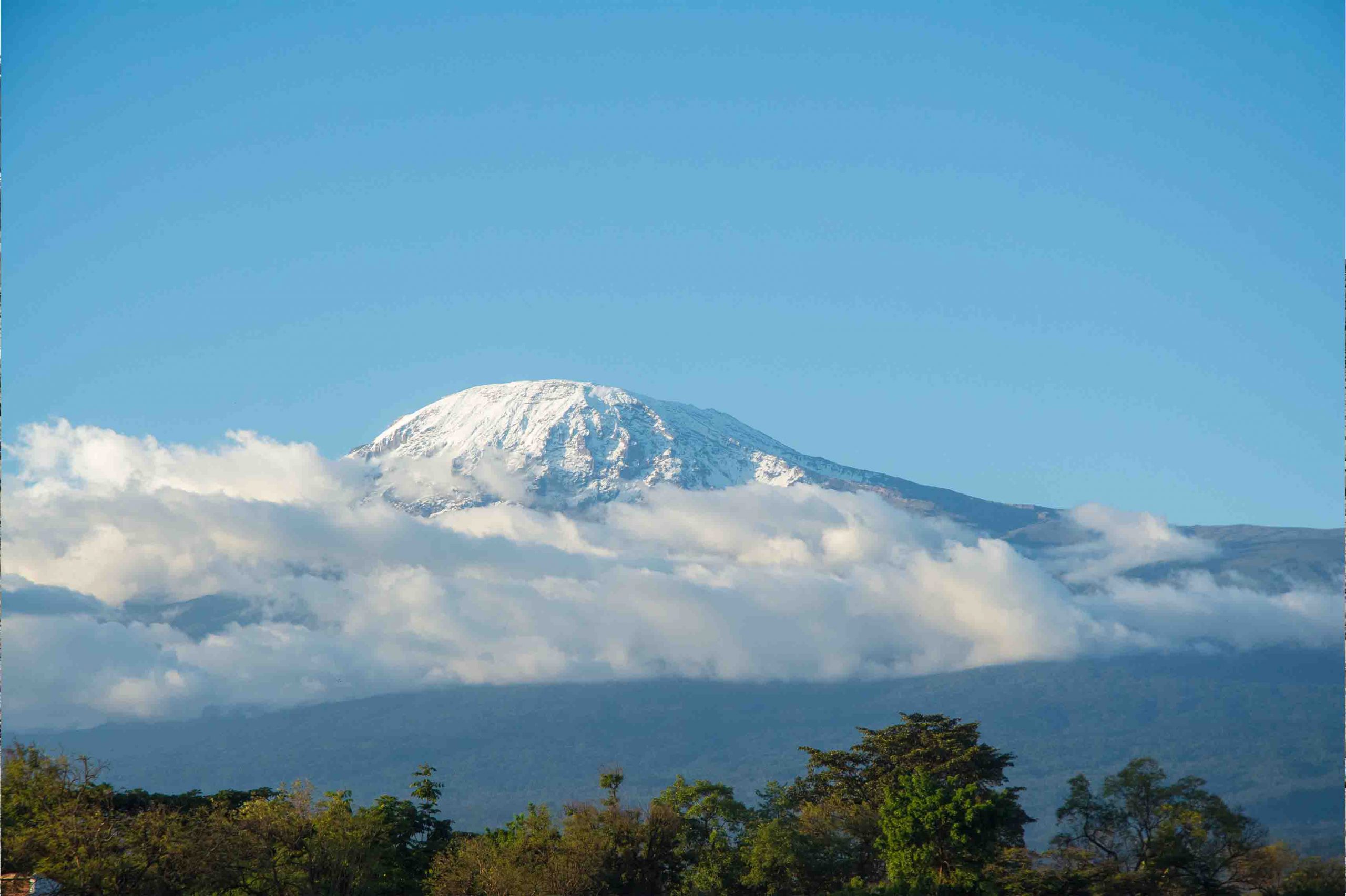 Kilimanjaro